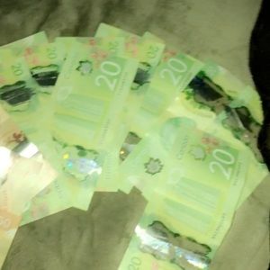 Meet your Posher, Isabella